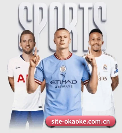 site-okaoke.com.cn的方向